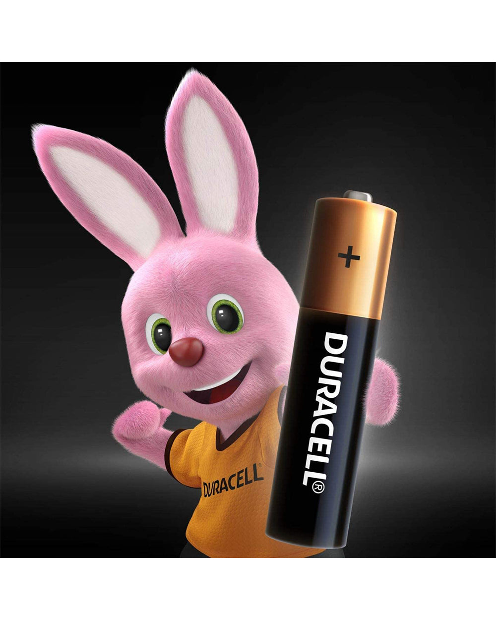 Duracell AAA 1.5V Alkaline Batteries Extra Life Long Power Pack of 4