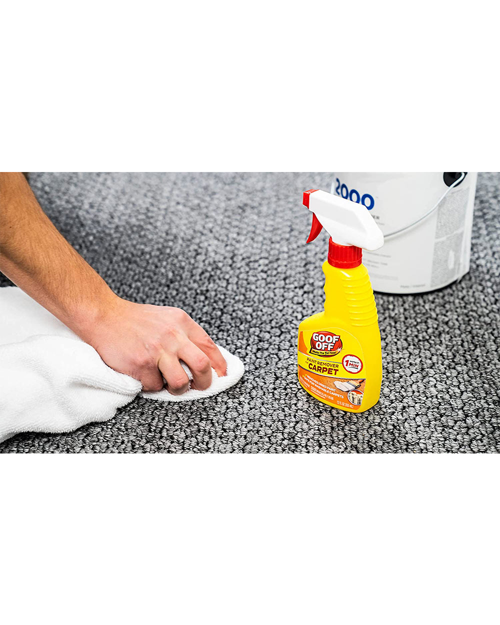 Goof Off 12oz Paint Remover for Carpet