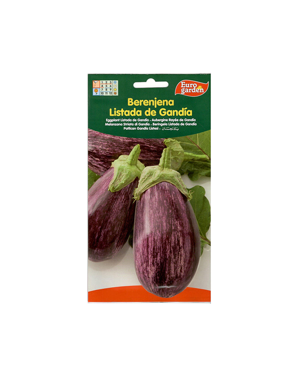Euro Garden Eggplant Seeds