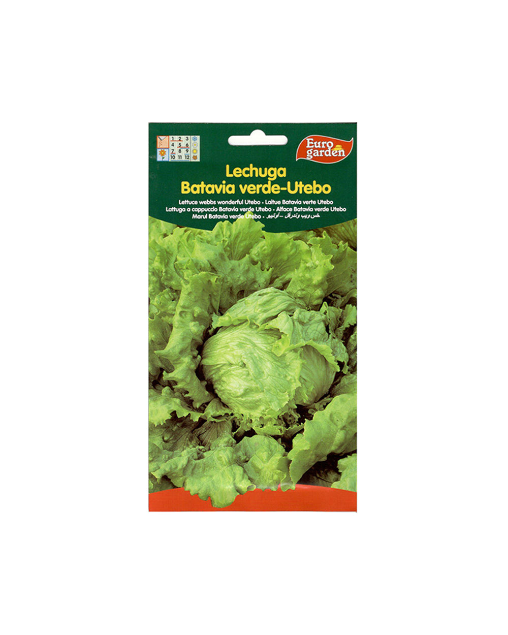 Euro Garden Lettuce Webbs Seeds