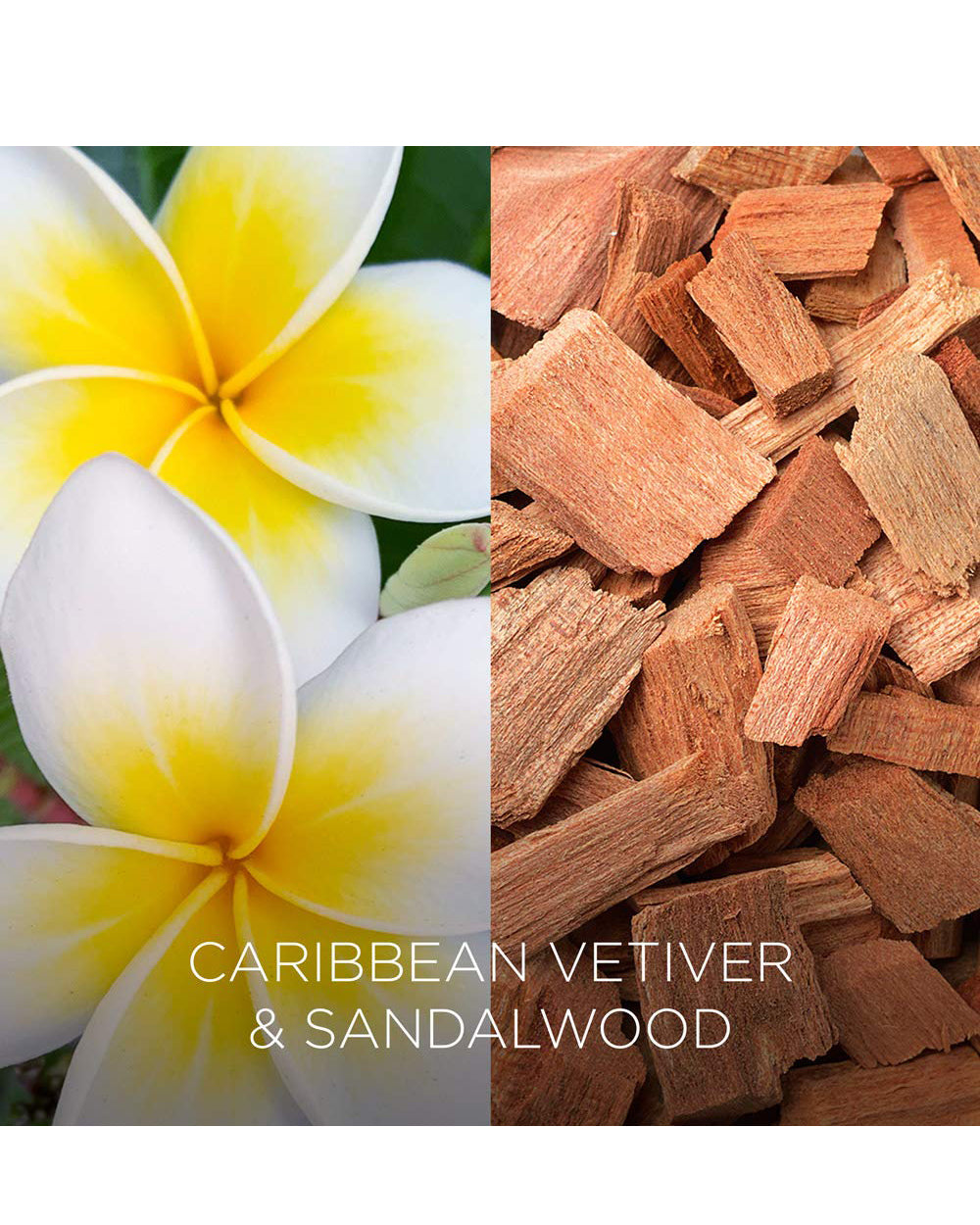 Air Wick Botanica 120g Caribbean Vetiver Sandalwood Wax Candle