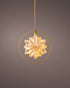 Kaemingk Micro LED Star Steady Battery Operated Indoor