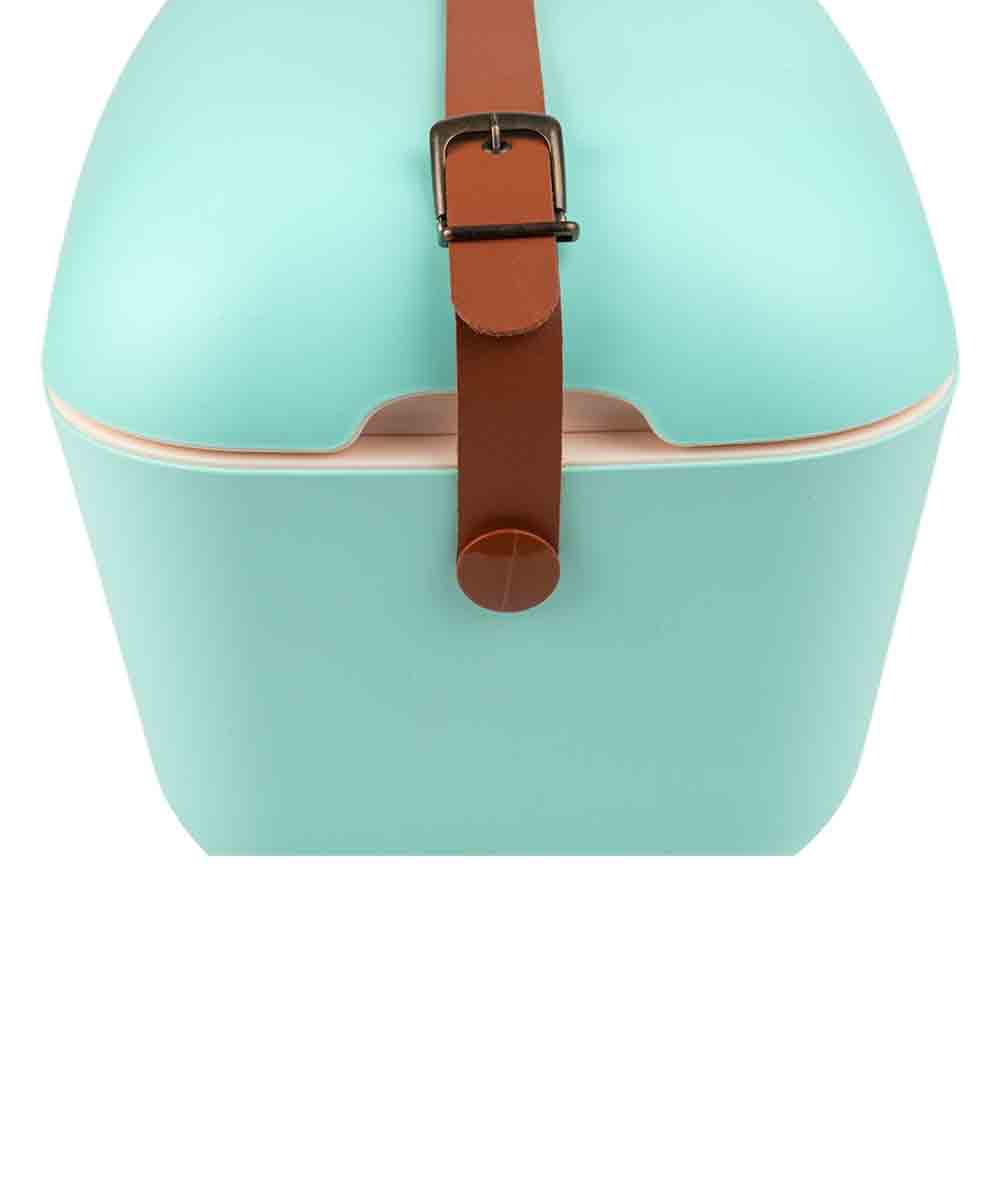 Polarbox 20 Liter Classic Cooler Box Cyan, Baby Rose