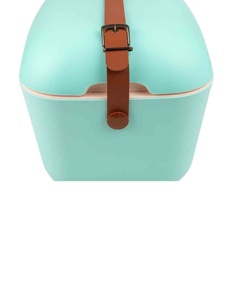 Polarbox 12 Liter Classic Cooler Box Cyan, Baby Rose