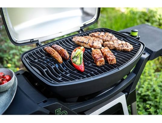 Napoleon Travelq™ Pro285E Electric Portable Grill