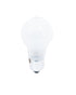 Veto Frosted Light Bulb Online