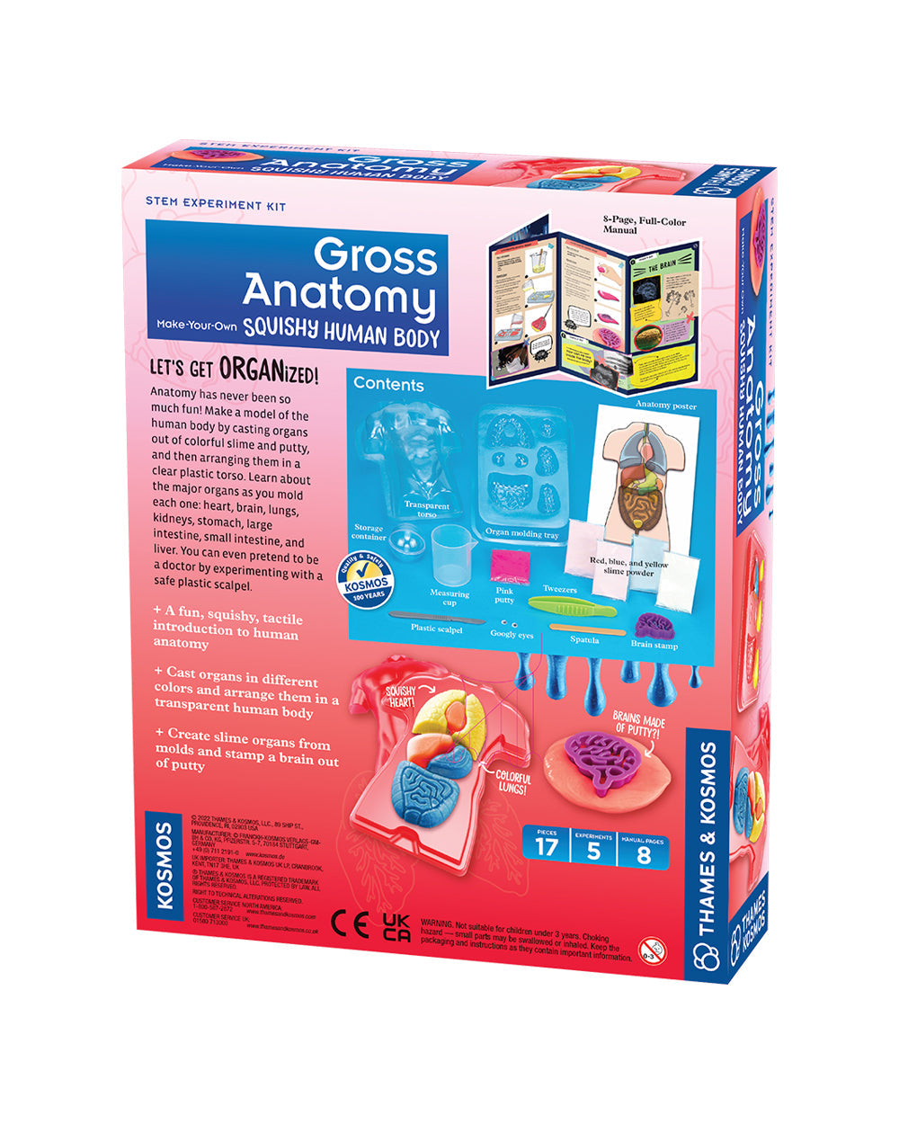 Thames & Kosmos Gross Anatomy STEM Experiment Kit