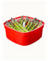 Sistema Medium Microwave Steamer 2.4L