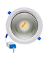 Veto LED Cob Light 30W Day Light