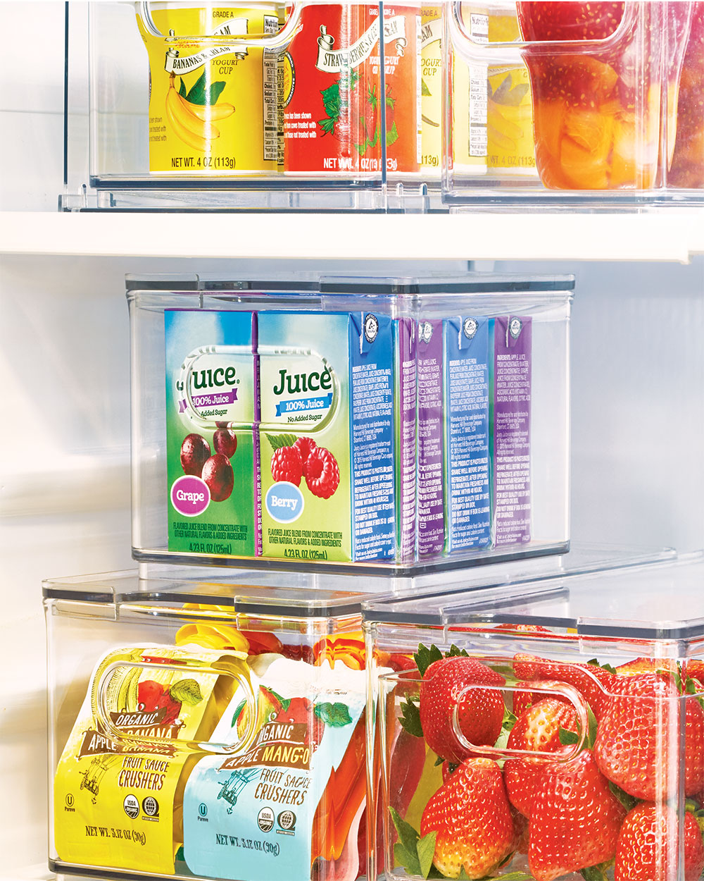 The Home Edit Small Fridge Bin