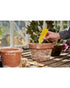 Zero In Pot Plant Bug Traps Pack of 5
