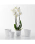 SK Delphi Flower Pot 20cm White