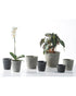 SK Dayton Pot 15cm Black Slate