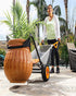 Worx Aero Cart Wheelbarrow