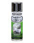 RustOleum Metallic Mirror Effect Spray
