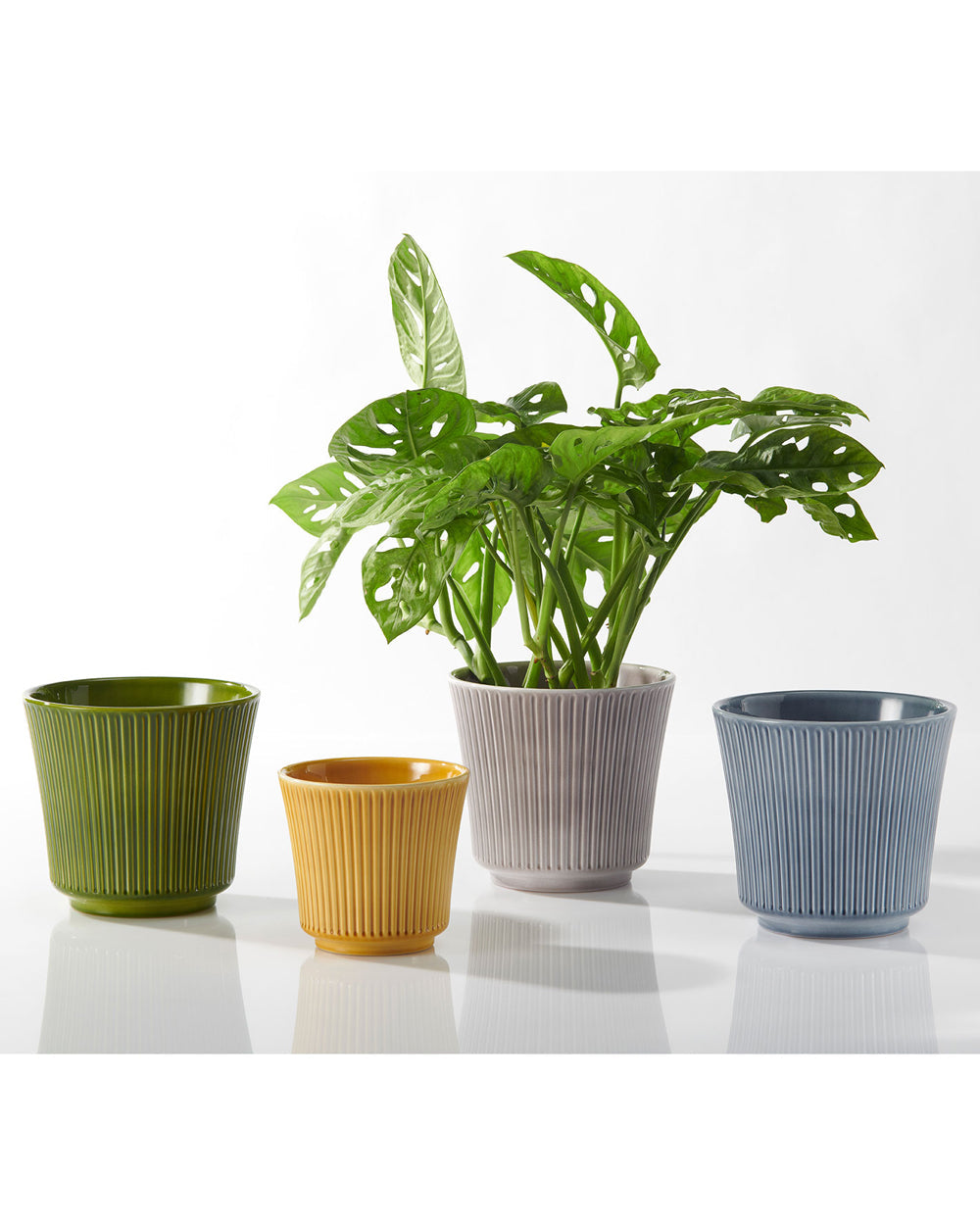 SK Delphi Flower Pot 16cm Lemon Green