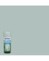 RustOleum Sea Glass Frosted 11Oz