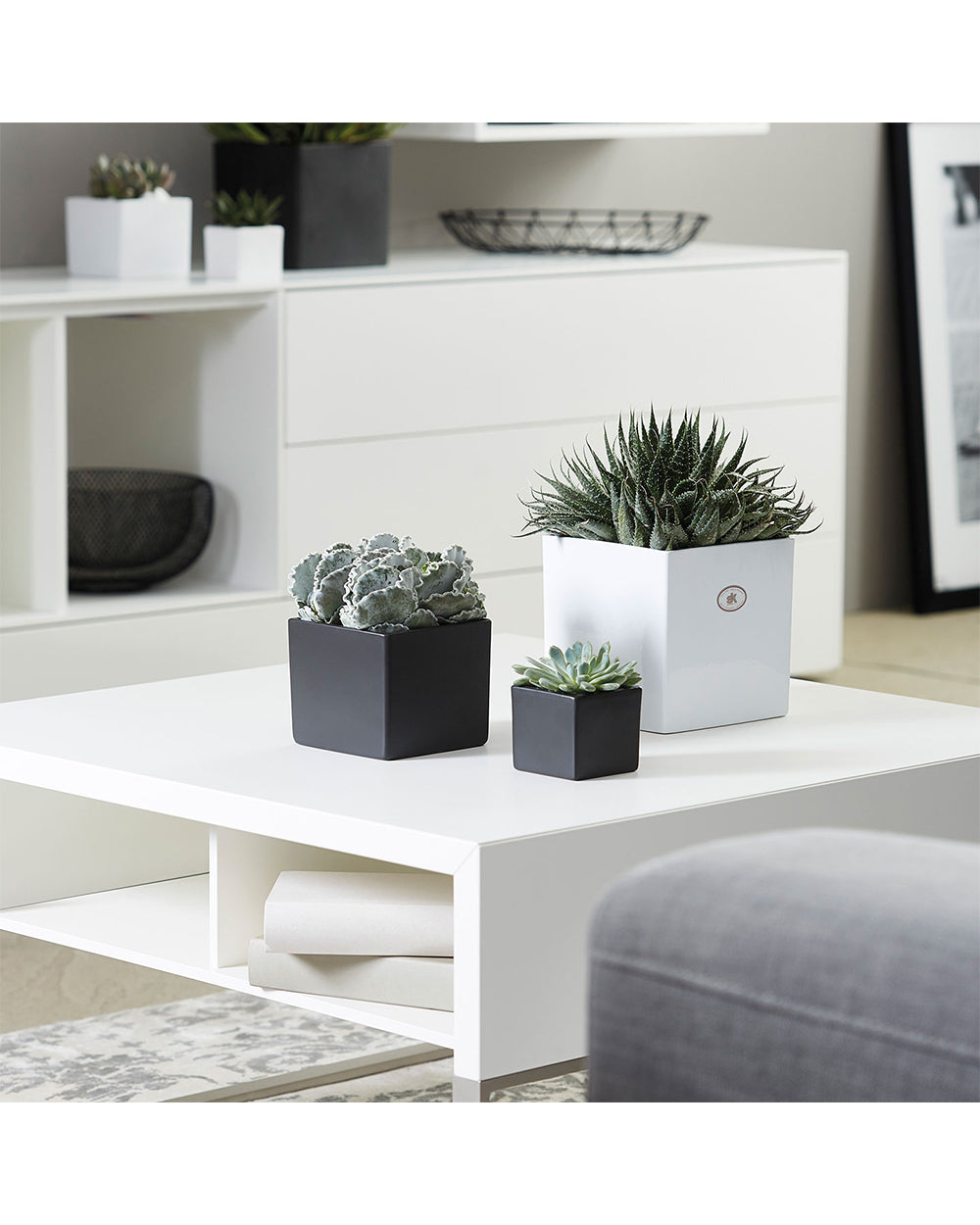 SK Latina Square Flower Pot 15cm White