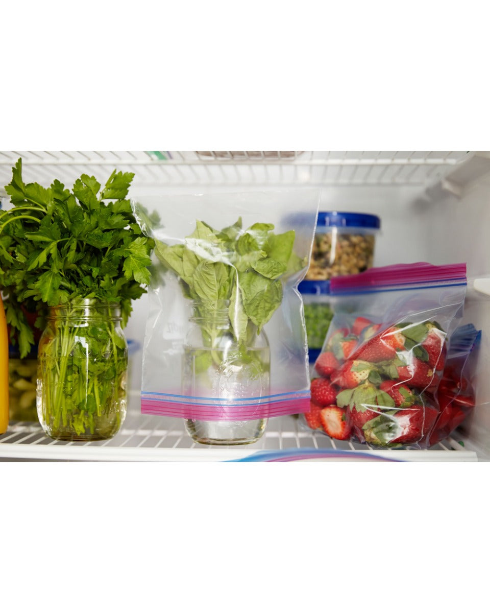 Ziploc 12 Count 2 Gallon Storage Bags