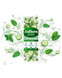 Zoflora Cucumber & Mint Multipurpose Disinfectant Cleaner 800ML