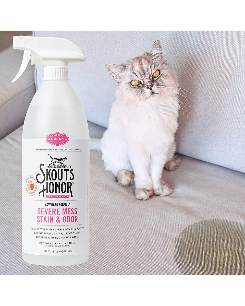 Skouts Honor  1.03 Liter Stain & Odor Severe Mess Advanced Formula Cat Cleaning