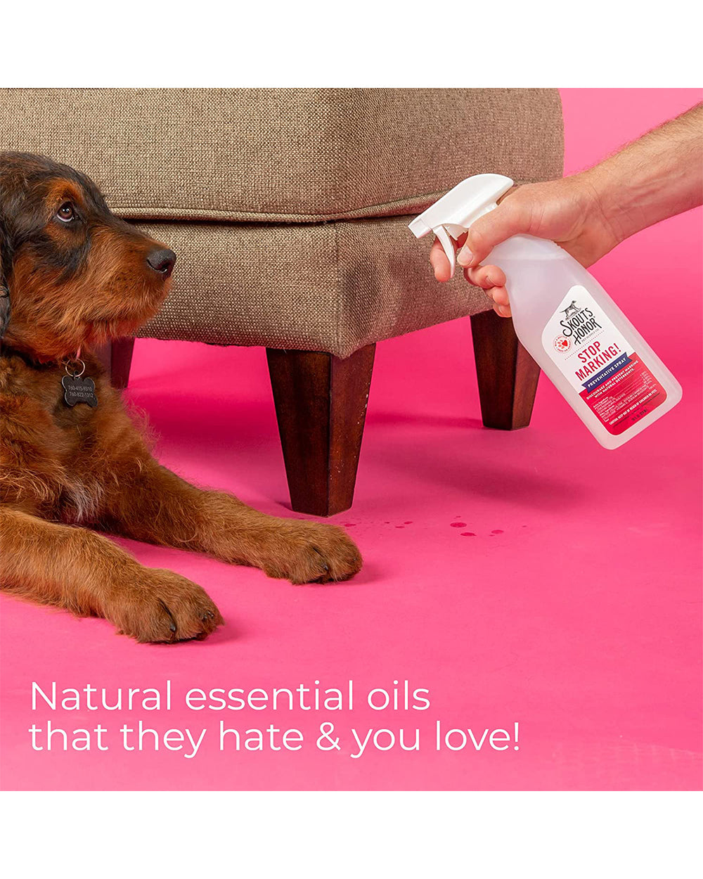 Skouts Honor 830ML Stop Marking! Preventative Spray Training Aid