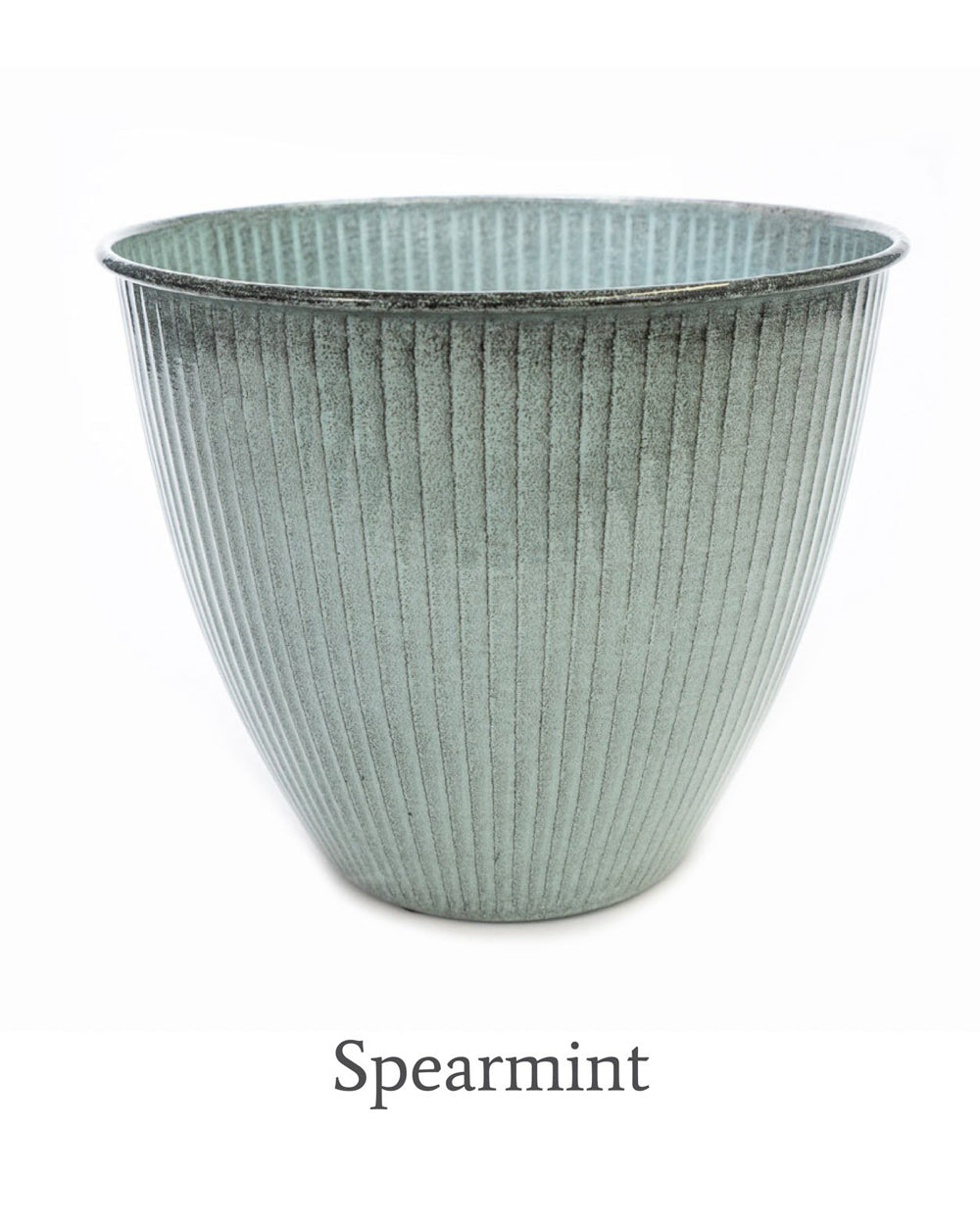 Robert Allen Sheridan 10 inch Pot Spearmint