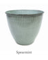 Robert Allen Sheridan 10 inch Pot Spearmint