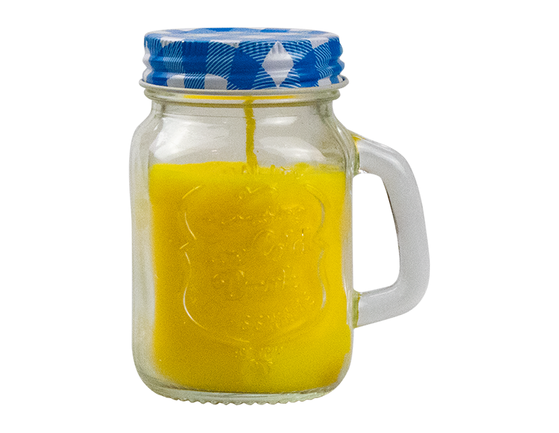 Rowan Mini Gingham Citronella Mason Jar Candle 1 Piece Assorted