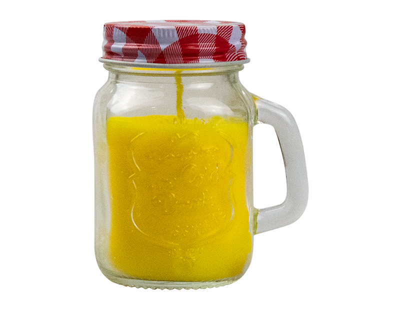 Rowan Mini Gingham Citronella Mason Jar Candle 1 Piece Assorted